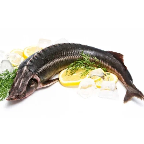 Осетр охлаждённый